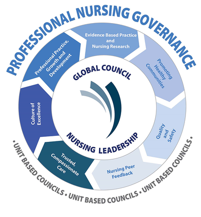 NurseProfGovernanceDiagram.png